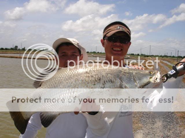 父亲与儿子和我钓金目鱼泰国报告. 父亲与儿子和我钓金目鱼泰国报告.